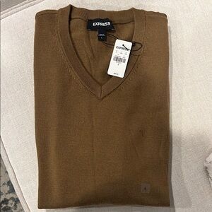 Express Men's Brown V-Neck Sweater